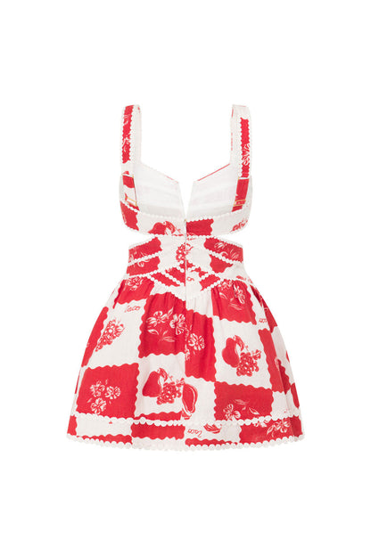 NASHI MINI DRESS